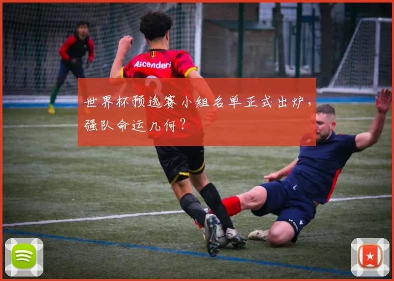 世界杯预选赛小组名单正式出炉，强队命运几何？